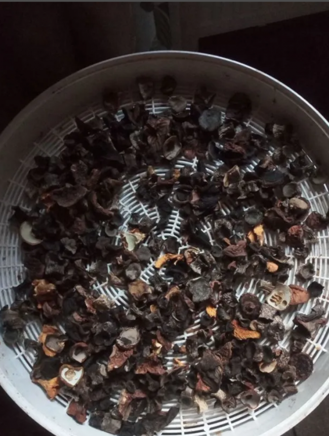 Ассорти сушеных грибов 100 гр