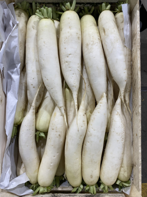 Редька белая ( Дайкон) 1 кг 