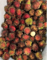 Рамбутан Вьетнам 500 гр