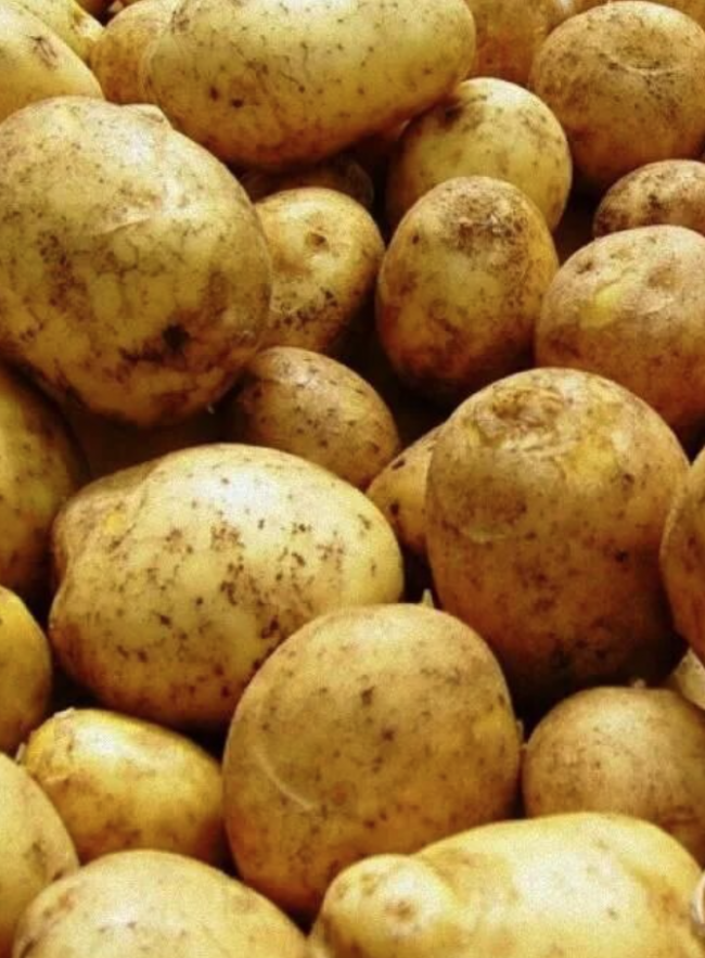 Картофель сорт Галла Краснодар 5 кг