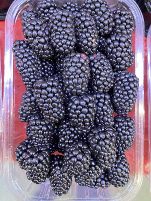 Ежевика новый урожай Крым 300 гр