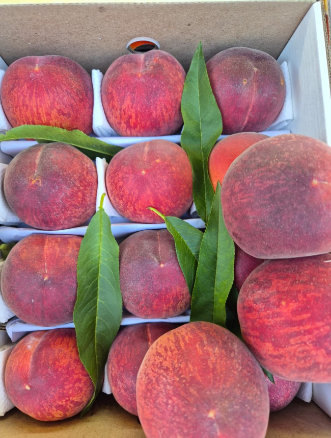 Персики Крымские 500 гр