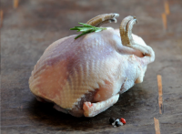 Тушка серой куропатки ( примерный вес 250-300 гр) 1 шт