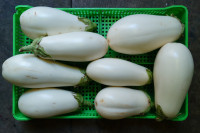 Баклажаны белые 500 гр
