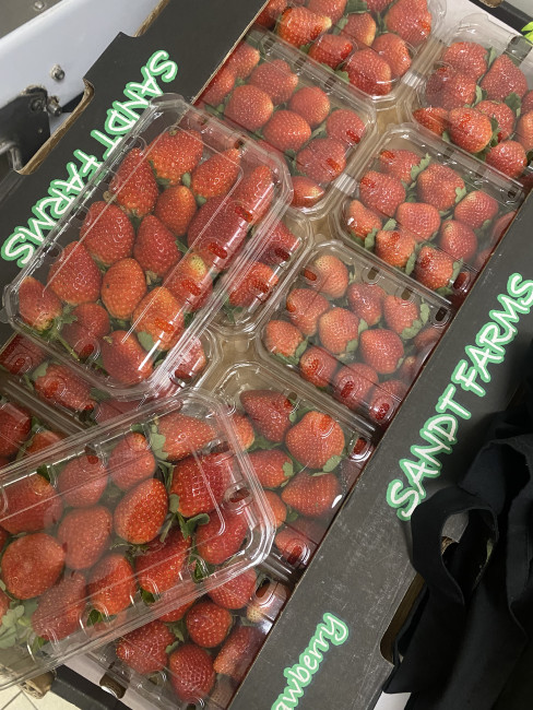 Клубника Египет 500 гр