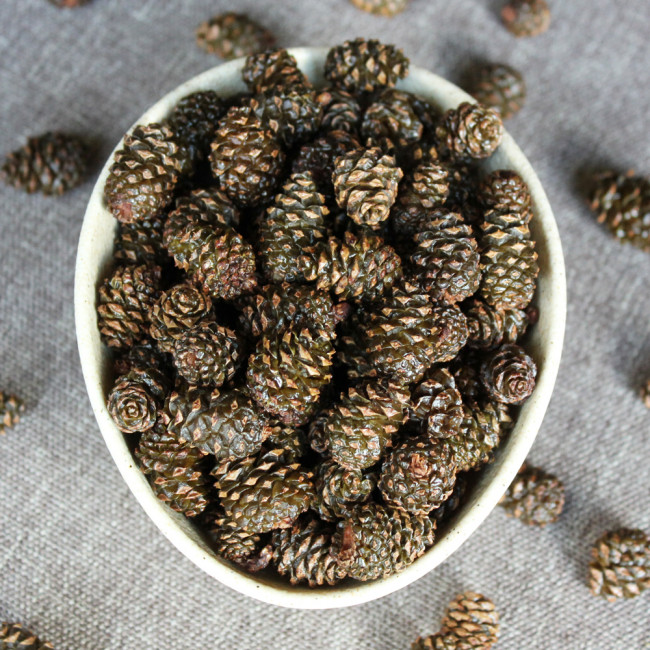 Сосновая шишка цукат