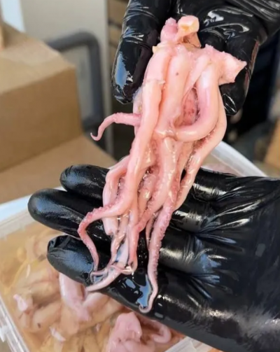 Щупальца осьминога в масле 2 кг