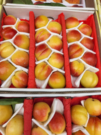 Урюк медовый самолётный 1 кг