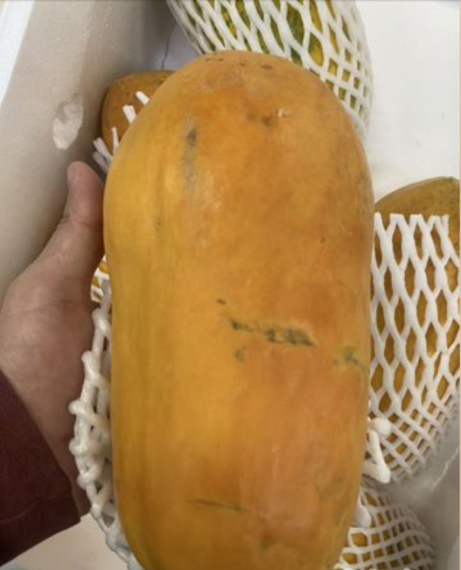 Папайя Вьетнам (примерный вес 1-2 кг) 1 кг