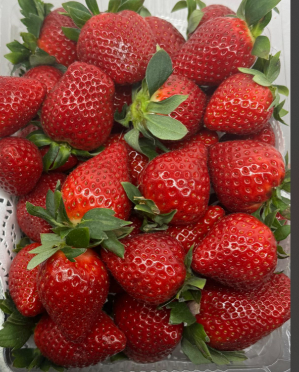 Клубника Греция 500 гр