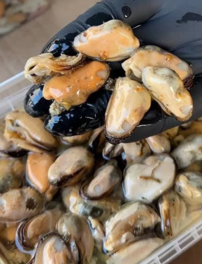 Мидии в масле 2 кг