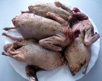 Дикая утка чирок ( примерный вес тушки 400-700 гр) 1 кг