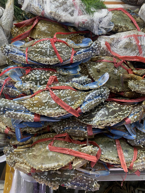 Краб средний 1 кг