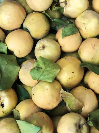 Ава Узбекская 1 кг