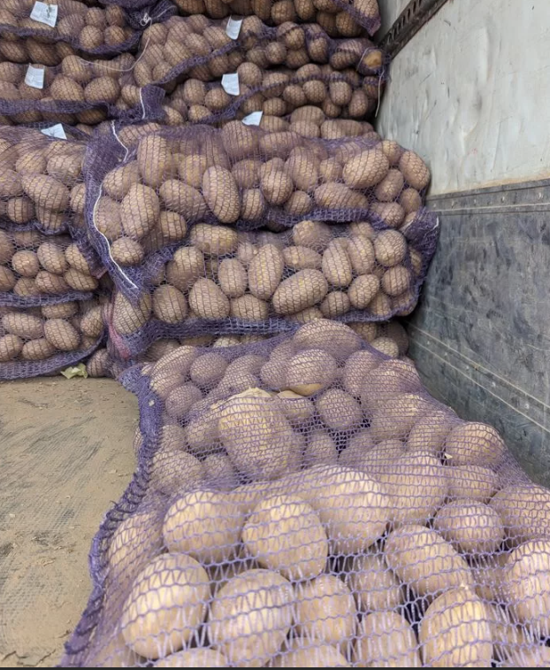 Белый картофель сорт ГАЛА 1 мешок 40 кг