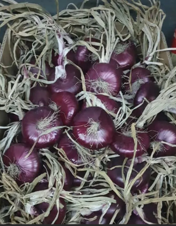 Настоящий Ялтинский лук 12 кг Настоящий Ялтинский лук 12 кг