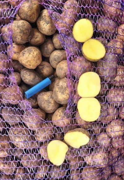 Картофель белый Тамбов сорт МЕЛОДИЯ 1 мешок 45 кг