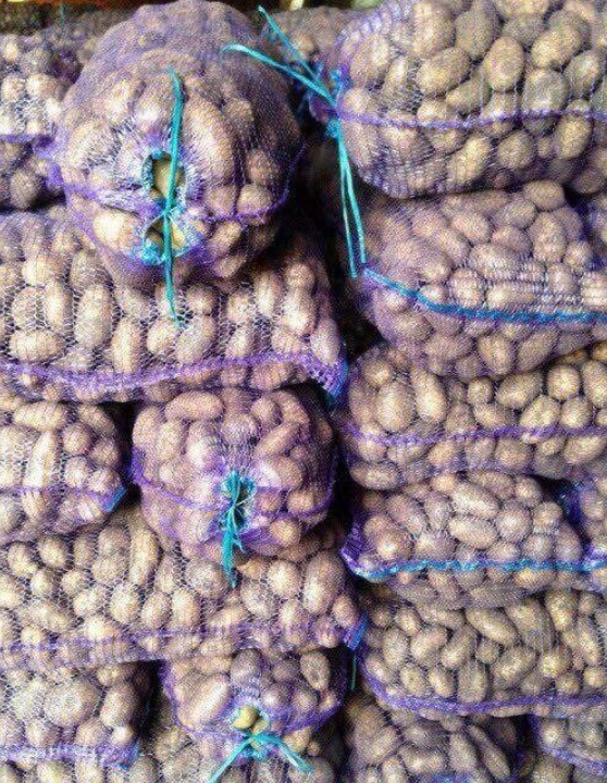 Картофель белый Тамбов сорт МЕЛОДИЯ 1 мешок 45 кг