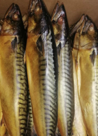 Скумбрия холодного копчения 1 кг