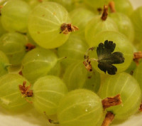 Варенье крыжовниковое 0,5 банка