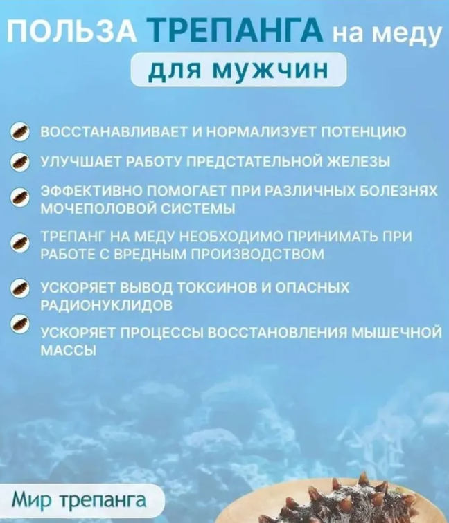 Трепанг на меду ( чистый вес 550 - 600 гр ) 0,5 литра