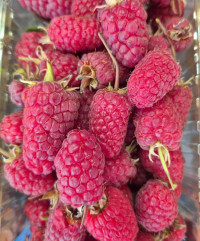 Малина с хвостиком Крым банка 500 мл