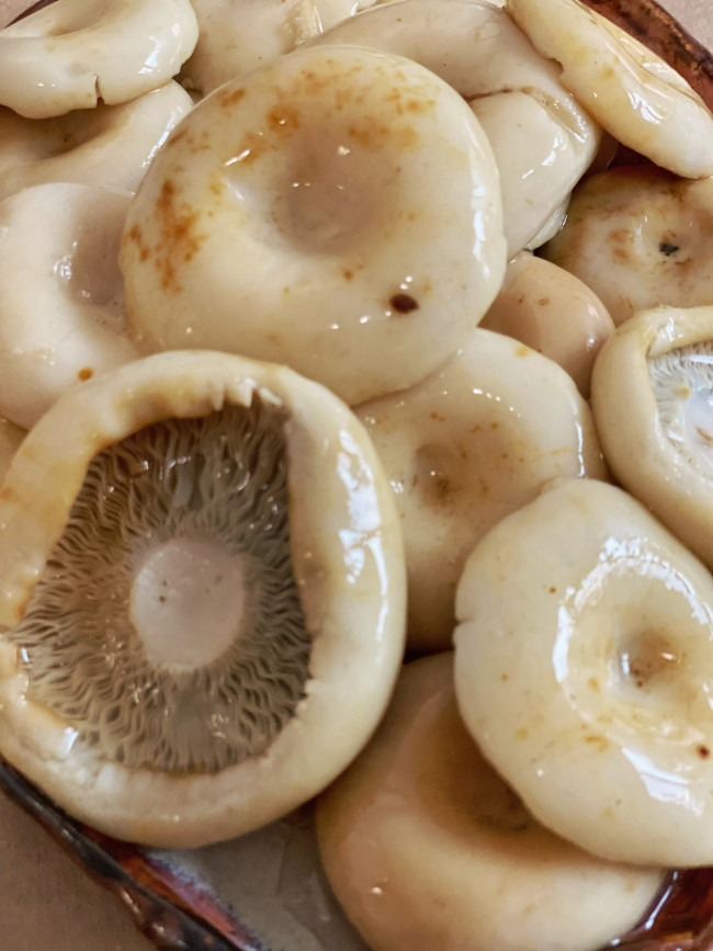 Грибы солёные Грузди белянка сорт "Элитный" 3 литра