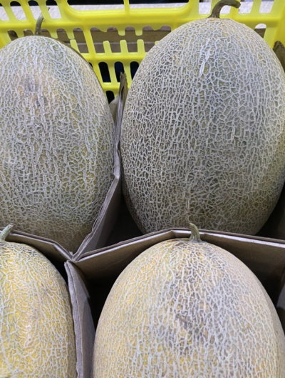 Дыня Колхозница Узбекистан 1 кг