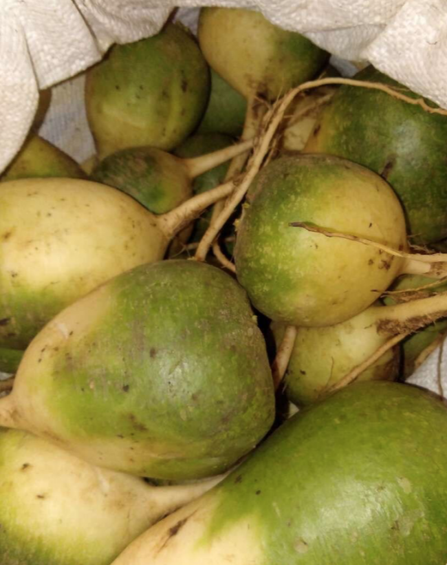 Редька зелёная 2кг