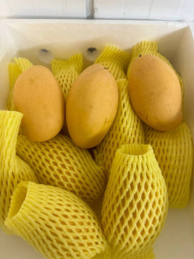 Манго КЕОВАН 1 кг