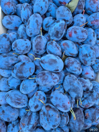 Слива чернослив сладкий 500 гр