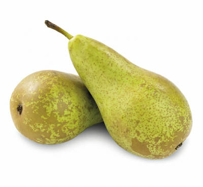 Груша зеленая Груша зеленая