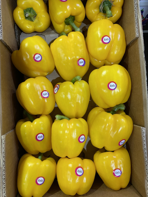 Перец желтый, болгарский 500 г