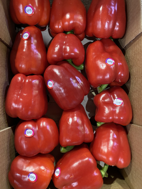 Перец красный болгарский 500 г