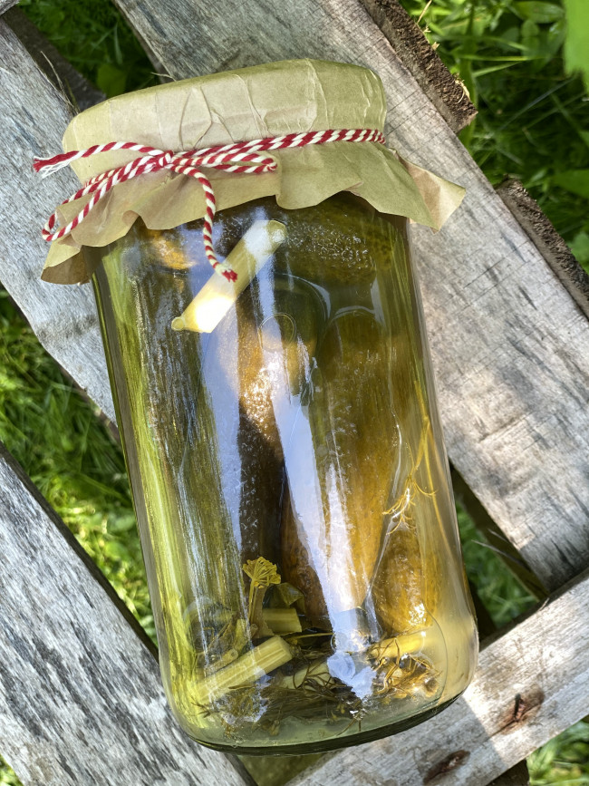 Огурчики соленые ( как бочковые ) 1,5 литра