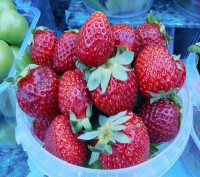 Клубника очень вкусная (Белоруссия) 1кг
