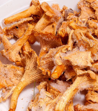 Лисички свежемороженые (1 кг)