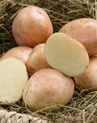 Картофель Азербайджан мытый 3 кг