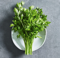 Петрушка 1 пучок