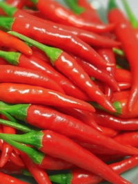 Красный перец Чили 50 гр.