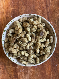 Шелковица сушеная белая