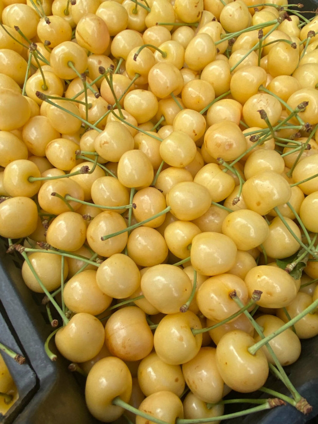 Черешня самолетная поставка желтая 500 гр