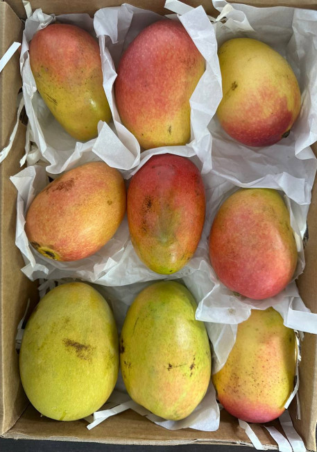 Манго ТОММИ 1 кг