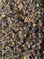 Чашелистики морошки 50 гр