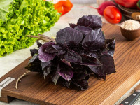 Базилик красный 100 гр