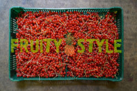 Красная смородина ягоды ( Россия ) 500 гр