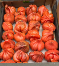 Помидоры «Дробленое сердце» 500 гр