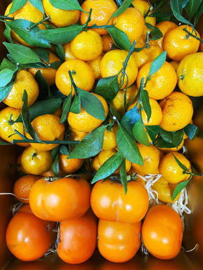 Фруктовая коробка ОРАНЖЕВЫЙ БРИЗ