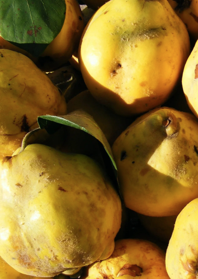 Айва Азербайджан 3 кг