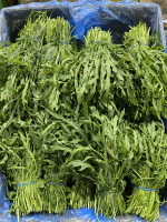 Руккола 100 гр